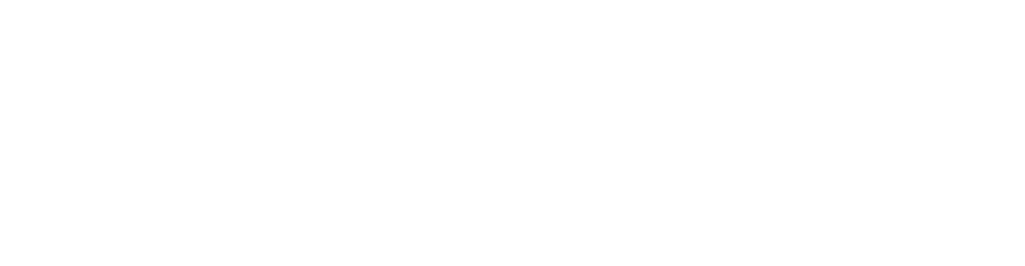 Logo PTSV Jahn Freiburg horizontal weiss